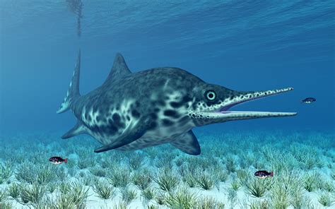 Paleontologists: Texas fossil could be dolphin-like ichthyosaur - Earth.com