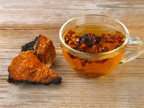 Chaga Tea Dosage and Recipe