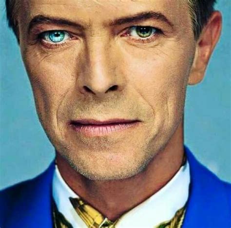 David Bowie | David bowie eyes, Bowie eyes, David bowie