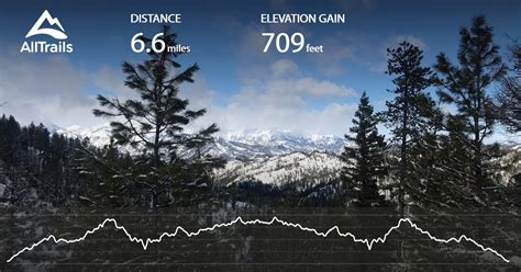 Wenatchee Crest Trail - Washington | AllTrails