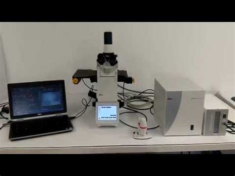 Leica DMi8 Widefield Live Cell Time Lapse Motorized Fluorescence ...