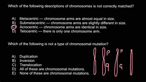 Chromosomes: Metacentric, Submetacentric, Acrocentric, Telocentric ...