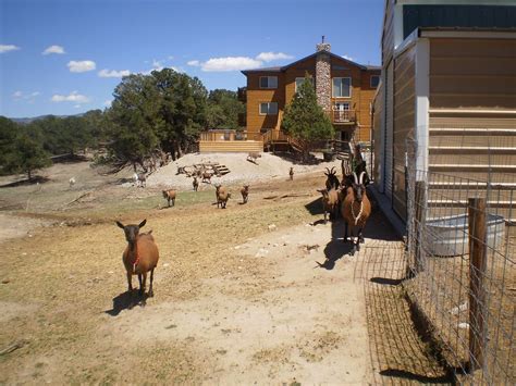 9 Best Hotels in Salida, Colorado