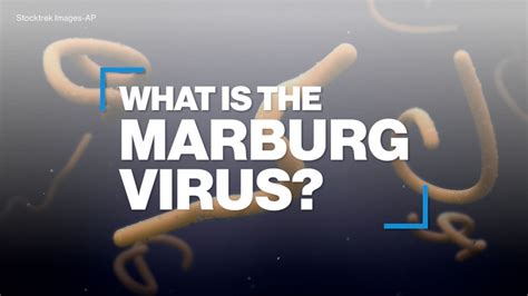 Video What is the Marburg virus disease? - ABC News