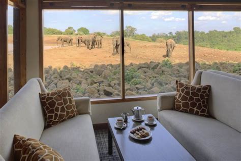 The Ark Lodge | Aberdare National Park | Aberdare Ranges | Kenya Tours