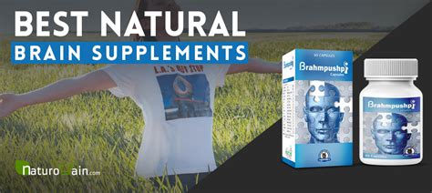 Best Natural Brain Supplements to Increase Memory Power, Concentration