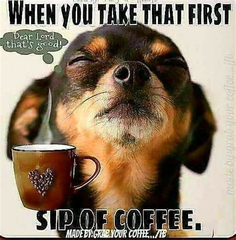 When You Taste That First Sip ;)☕ | Coffee quotes funny, Coffee humor, Coffee quotes