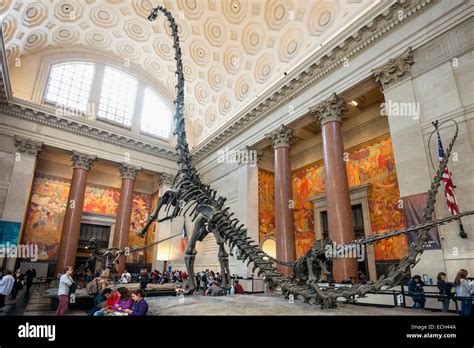 Dinosaur skeleton, Metropolitan Museum of Art, Manhattan, New York ...