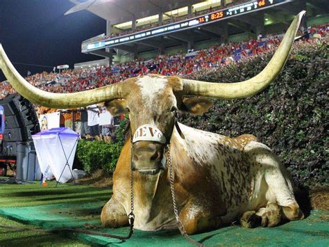 UT Announces Date for BEVO XV Reveal