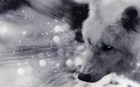 Free Wallpapers Wolves - Wallpaper Cave