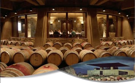 Mendoza wine tours