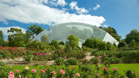 Adelaide Botanic Gardens - Adelaide, South Australia Attraction ...