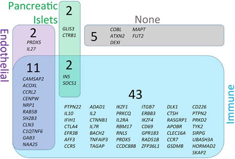 | Genetic susceptibility risk variants identified in type 1 diabetes... | Download Scientific ...