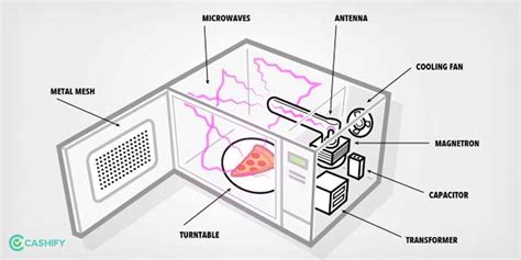 What Is A Convection Microwave Oven? | Cashify Blog