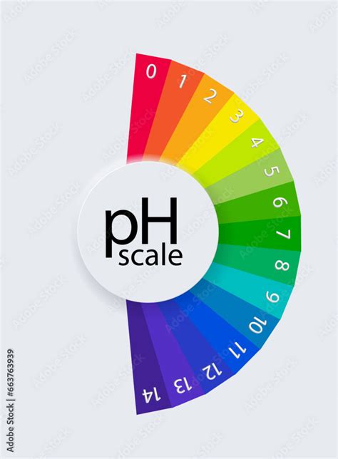 pH scale chart for acid and alkaline solutions. Acid-base balance ...