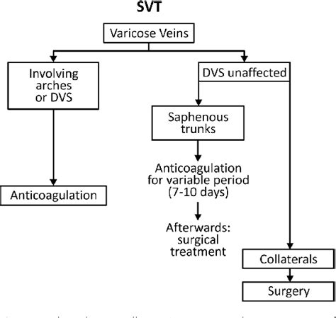 Figure 1 from Guidelines for superficial venous thrombosis | Semantic ...