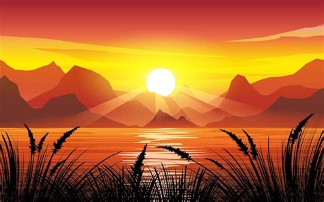 Premium Vector | Sunrise grass vector landscape illustration