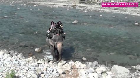 Jungle Safari Elephant Ride Jim Corbett Park Nainital Uttarakhand Love ...