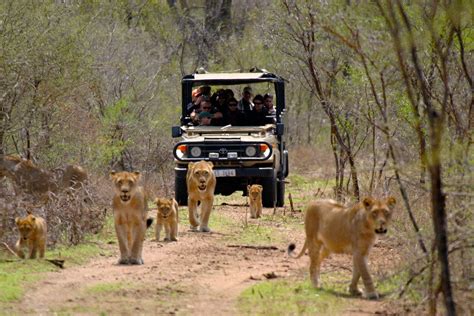 Kruger National park | Kruger Safaris | Kruger tours