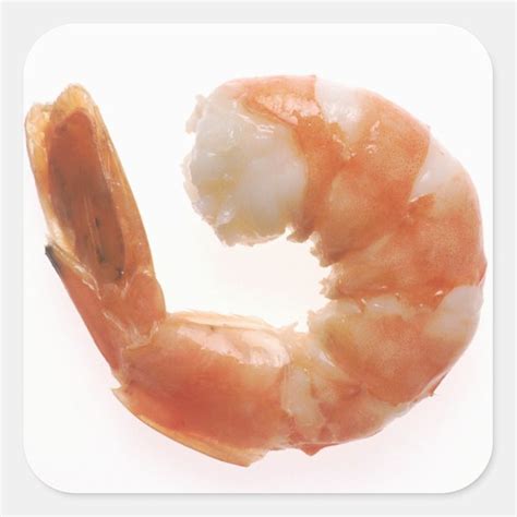 Shrimp Stickers - 100% Satisfaction Guaranteed | Zazzle