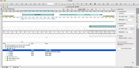 PCR in silico - Unipro UGENE