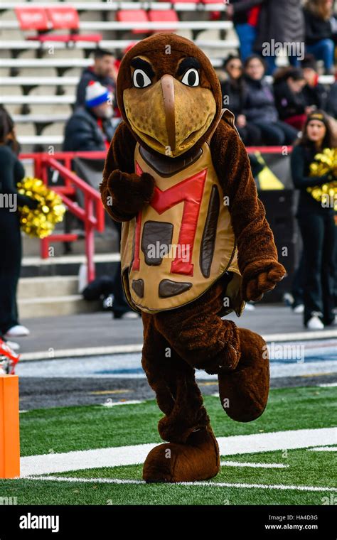 College Park, Maryland, USA. 26th Nov, 2016. The University of Maryland mascot Testudo strikes a ...