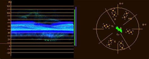 Video Essentials: How to Read a Vectorscope and Waveform Monitor - The Beat: A Blog by PremiumBeat