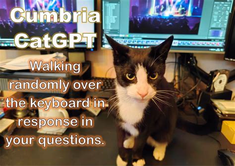 Opinion: Welcome to the AI future - it's CAT GPT - GPT AI News