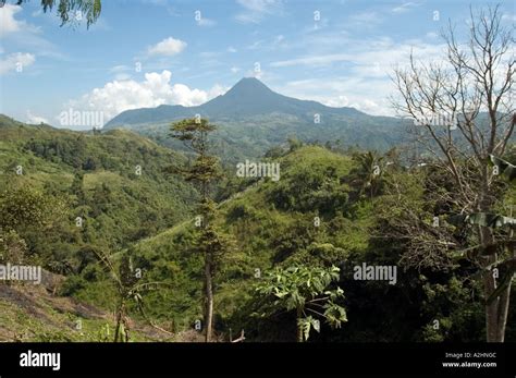 Mount Matutum is a dormant volcano, north of General Santos in South ...