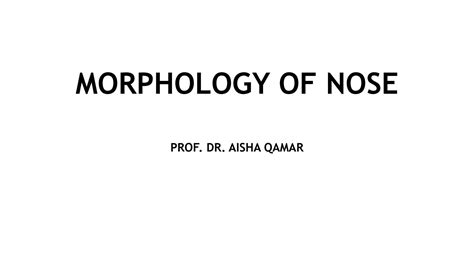 SOLUTION: Morphology of nose anatomy - Studypool