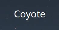 Coyote