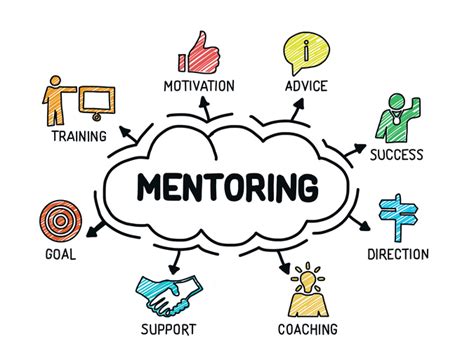 Mentorship programs for college students - CIS University