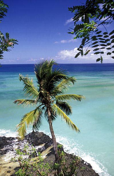 30+ Comoros Anjouan Beach Stock Photos, Pictures & Royalty-Free Images ...