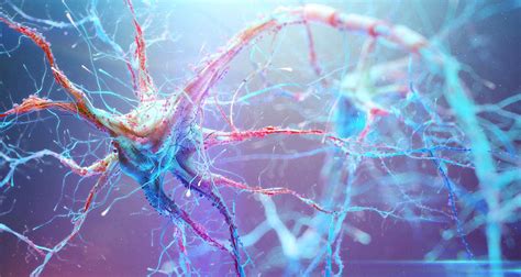 We’re All Just A Bundle Of Neural Pathways