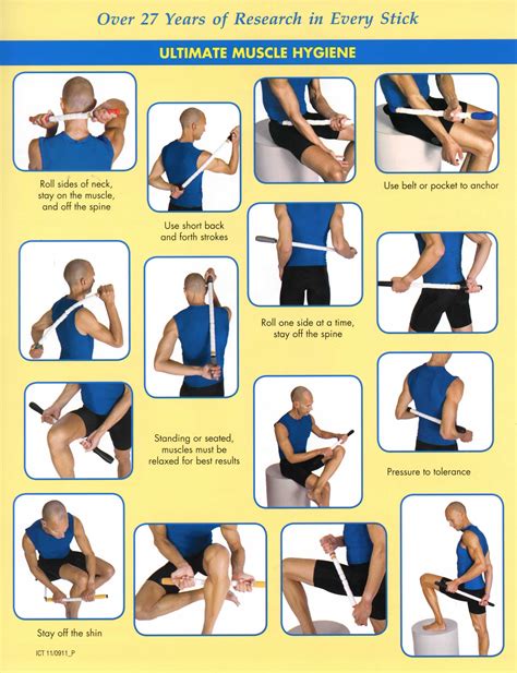 Image result for myofascial release exercises | Roller workout, Massage roller stick, Muscle roller