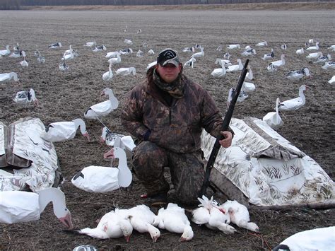 spring snow goose hunting, snow goose guide service, southern illinois snow goose hunting -Snows ...