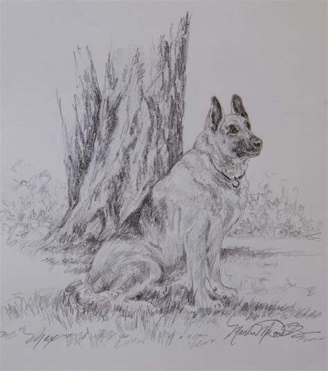 Max - Original Pencil Drawing. www.marshamcdonald.com | Dog art, Dog ...