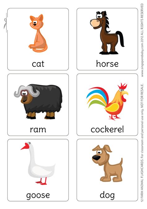 Simple Animal Flashcards For Kids Big Alphabet Flash Cards