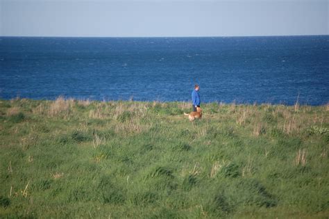 Free Images : beach, sea, coast, ocean, horizon, hill, shore, wind, cliff, bay, terrain, habitat ...