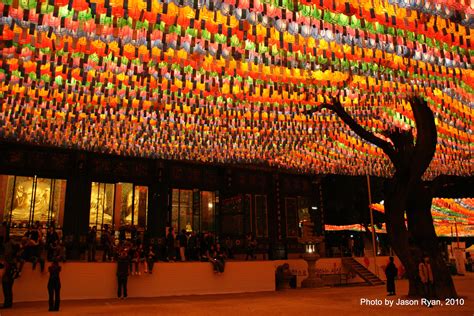 Korean Lotus Lantern Festival | Lantern festival, Lighting reference ...