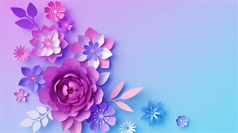 Pink Purple Blue Flowers Petals In Light Purple Blue Background HD Blue ...