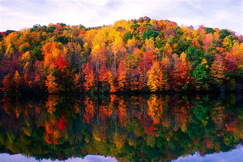 Where to See the Best Fall Foliage in West Virginia