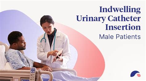 Urinary Catheter Insertion for Male Patients | Ausmed Explains ...