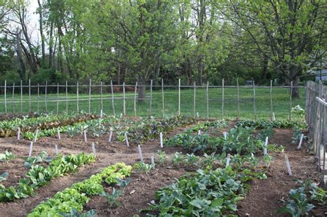 Country Living Ultimate Kitchen Garden at UK Arboretum | Lexington, KY ...