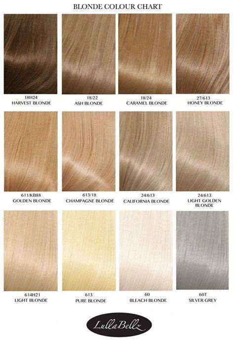 Different types of bleach blonde dye in 2023 | Blonde hair color chart ...