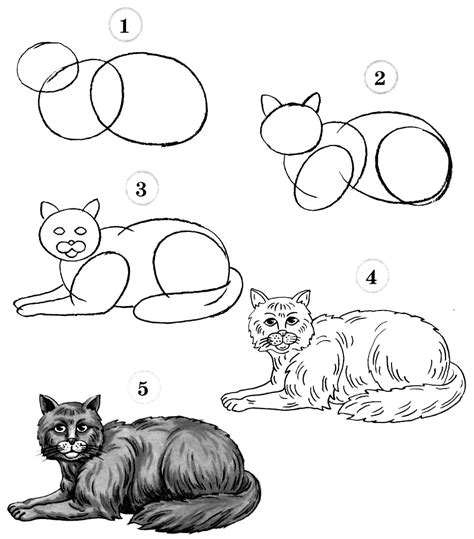 How to draw a cat step by step - 10 drawing tutorials for beginners - HOW-TO-DRAW in 1 minute