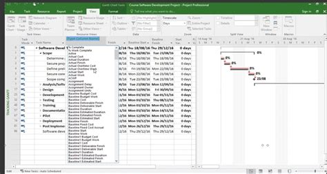 Microsoft Project Tutorial: Introduction to Baselines