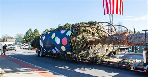 It's here! The 2022 Rockefeller Center Christmas tree has officially ...