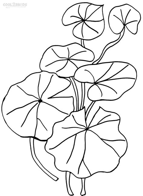 Printable Lily Pad Coloring Pages For Kids