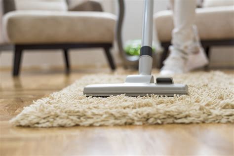 Does Vacuuming Make Fleas Worse | Iupilon